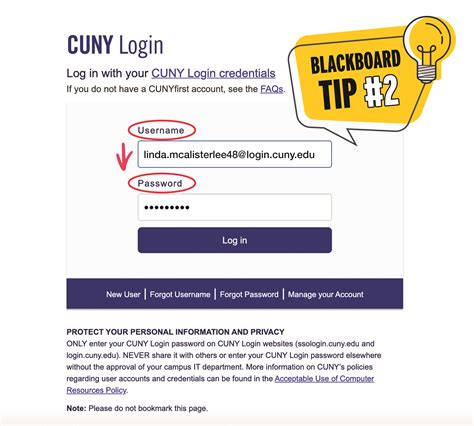 cuny blackboard.